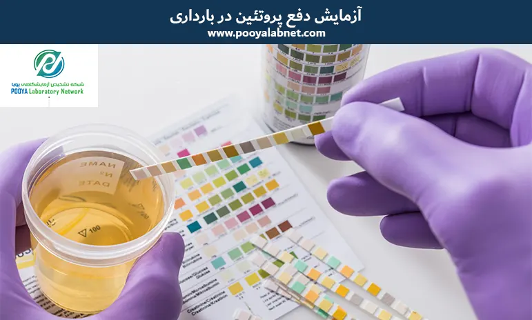 آزمایش-دفع-پروتئین-در-بارداری