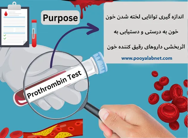 آزمایش زمان پروترومبین