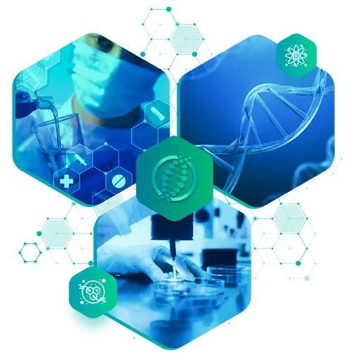 شبکه تشخیص آزمایشگاهی پویا